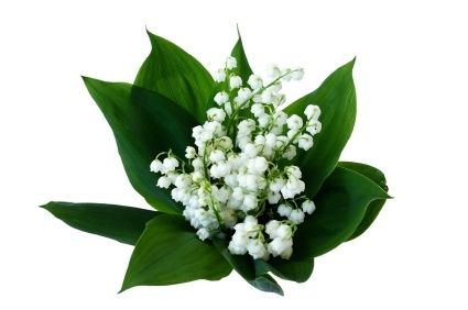 fete-du-muguet.jpg